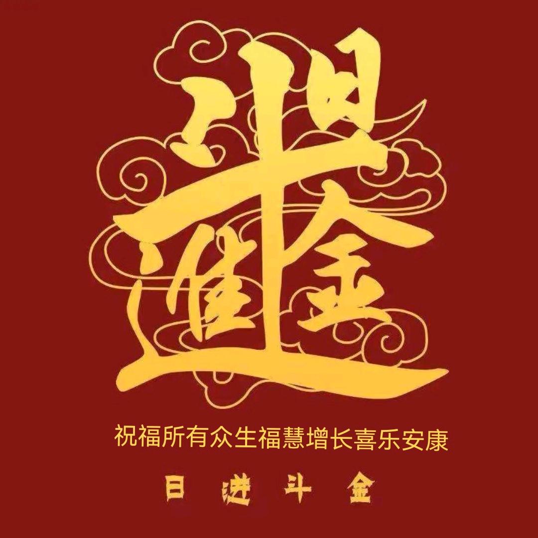 圆花*豫米
