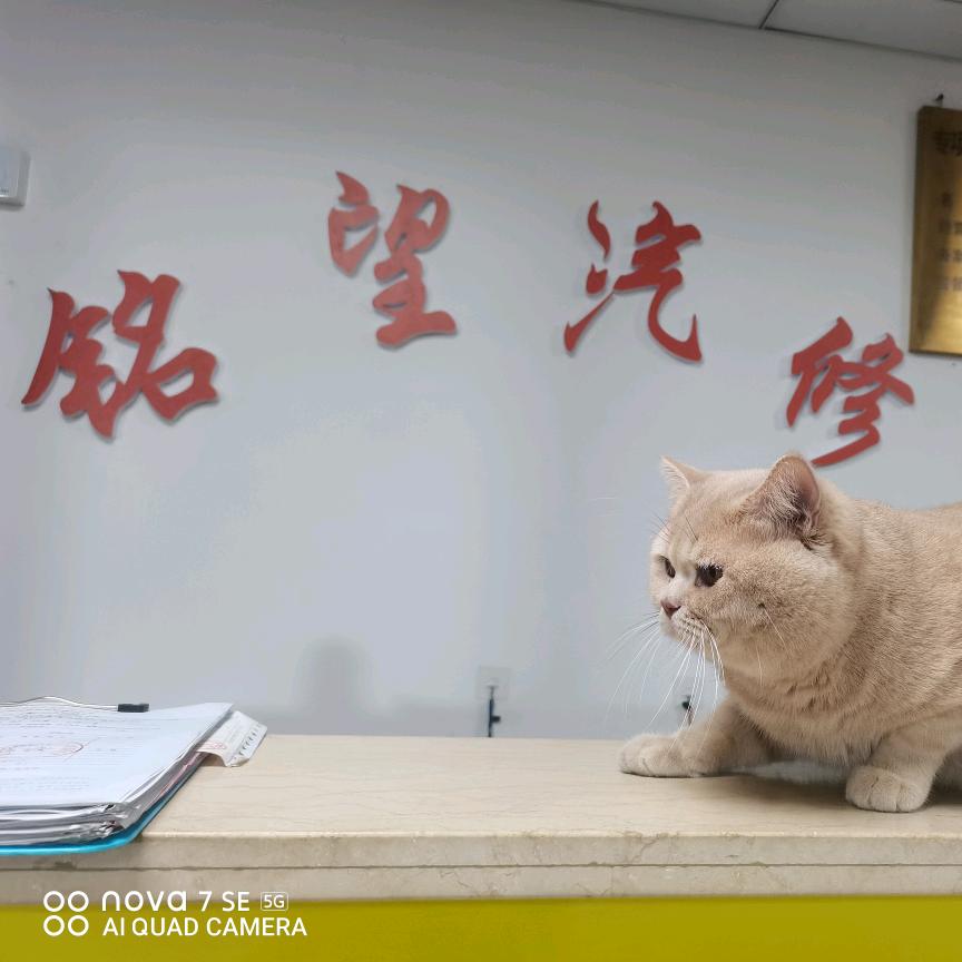 铭望哥