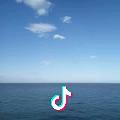 斌哥