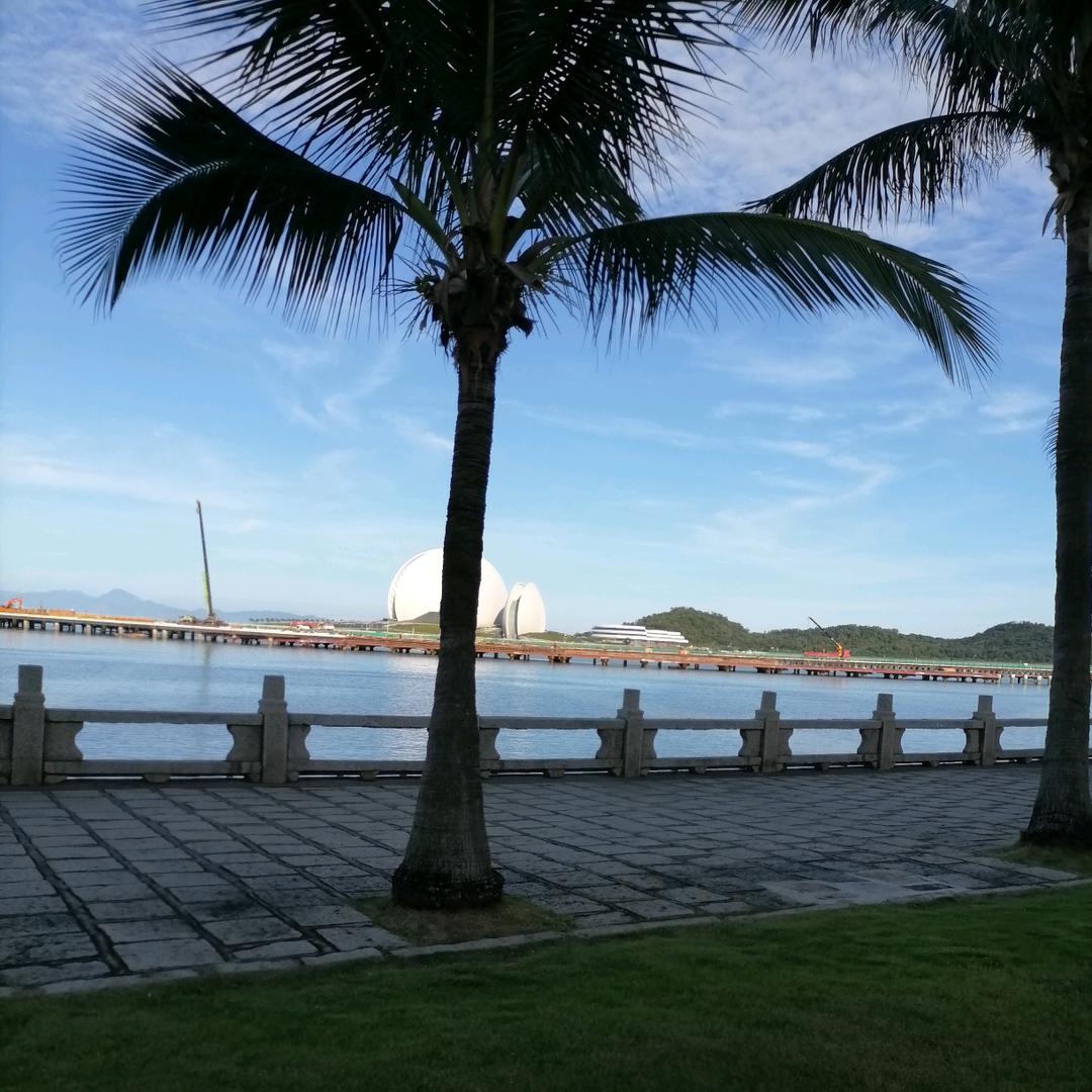 幸运🐬