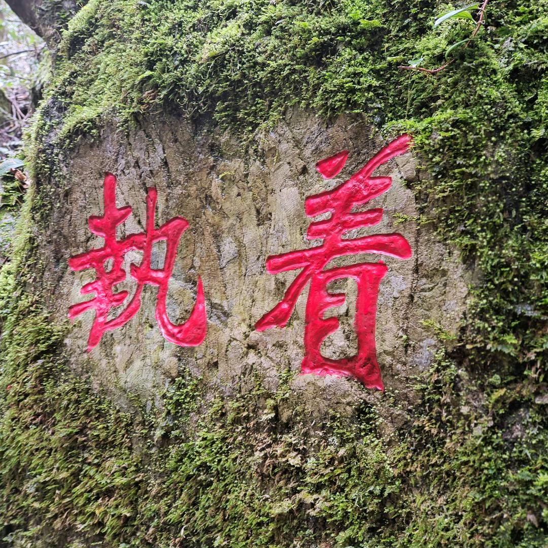 荷塘月色