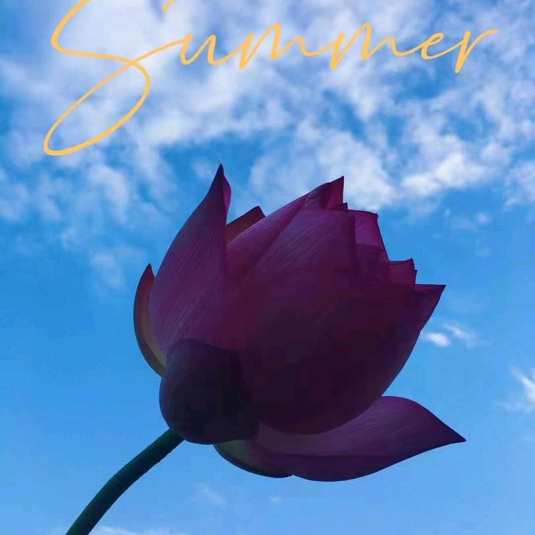 心想事成，四季平安