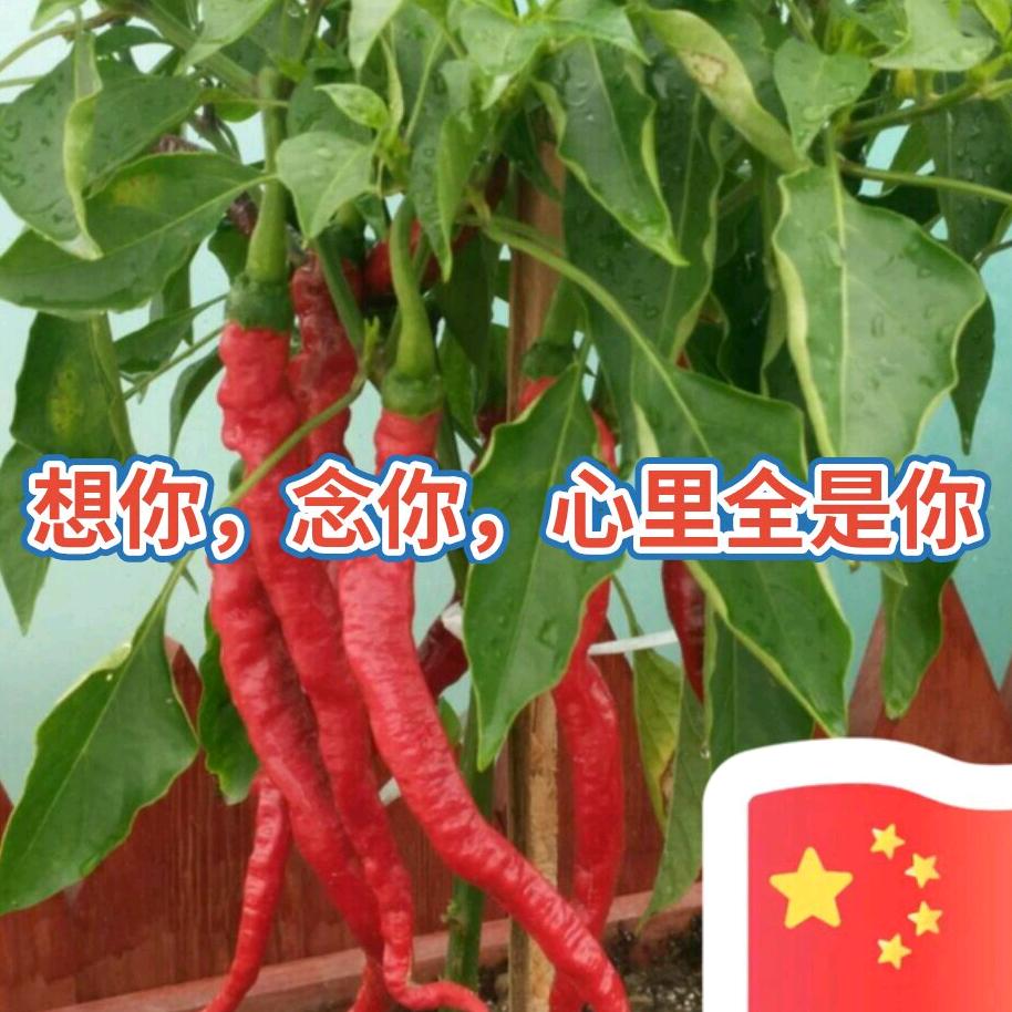 利刃