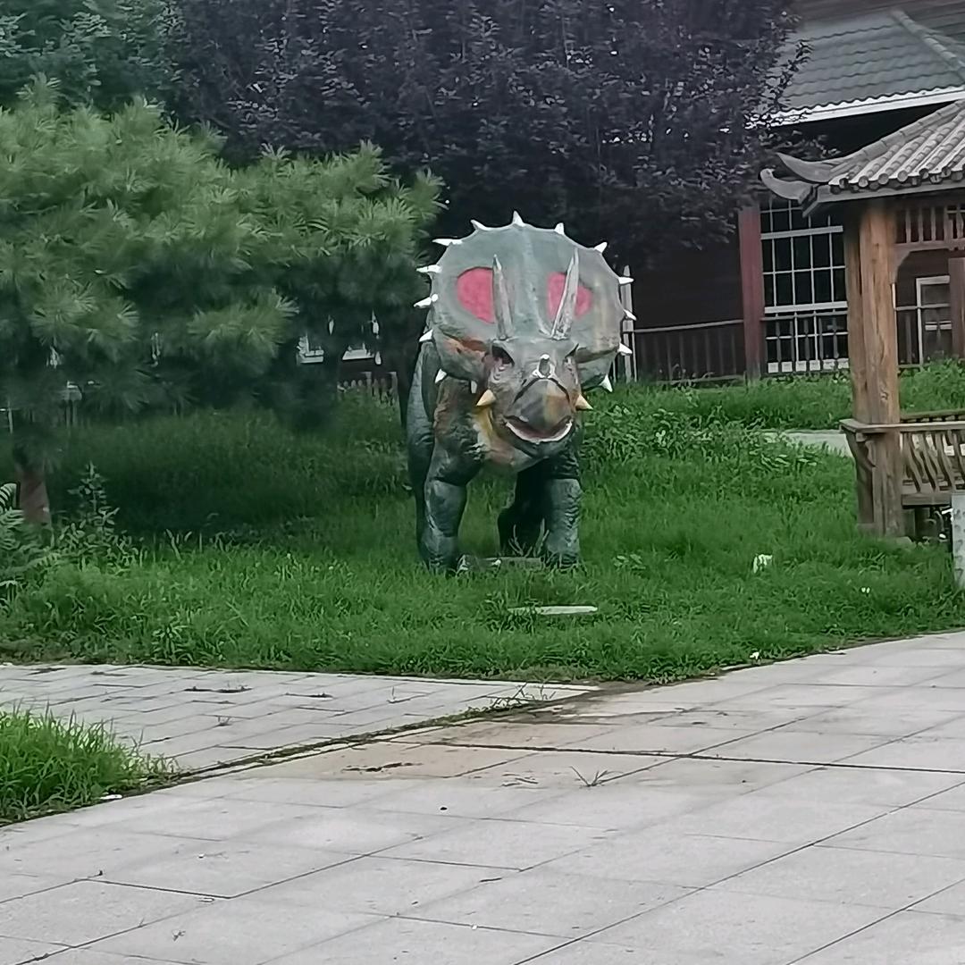 尘埃落定