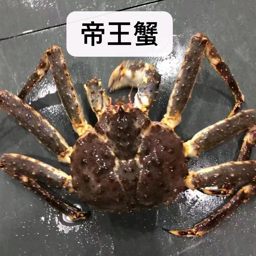 海鲜批发卓老弟