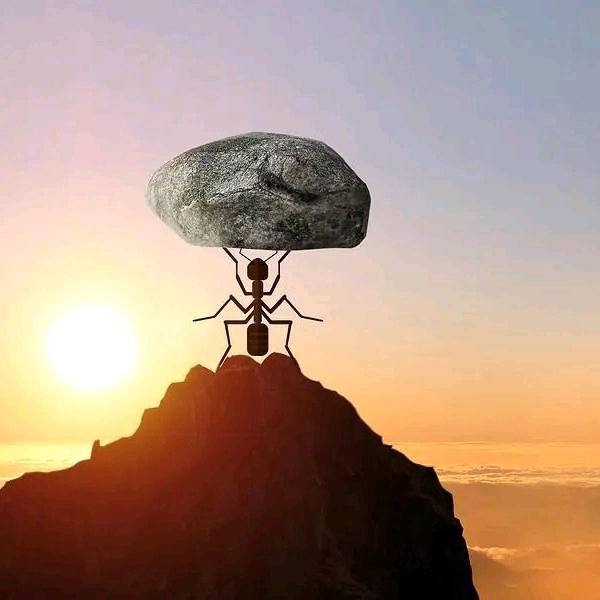 武城车匠贴膜三膜合一马志民