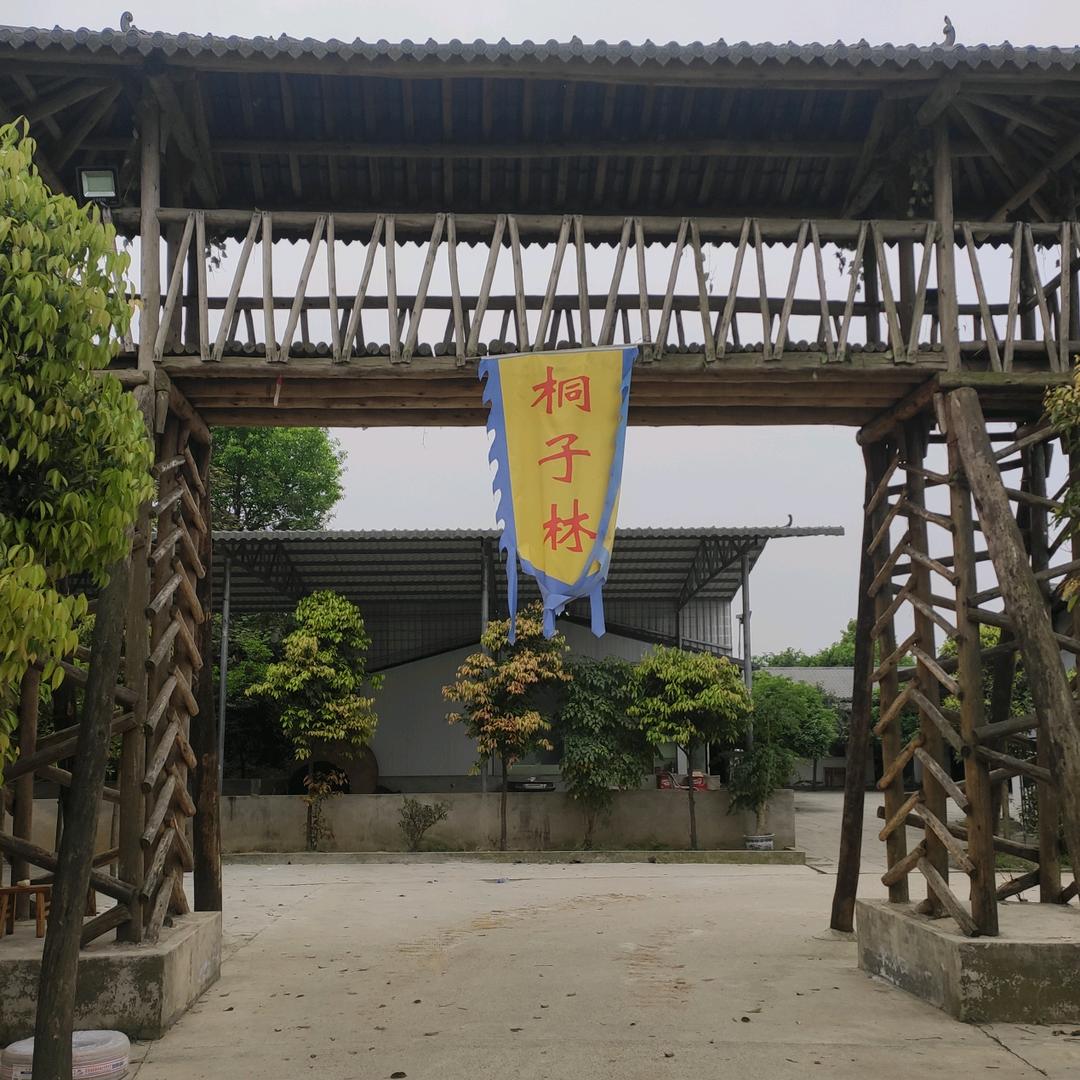 桐子林生态农庄