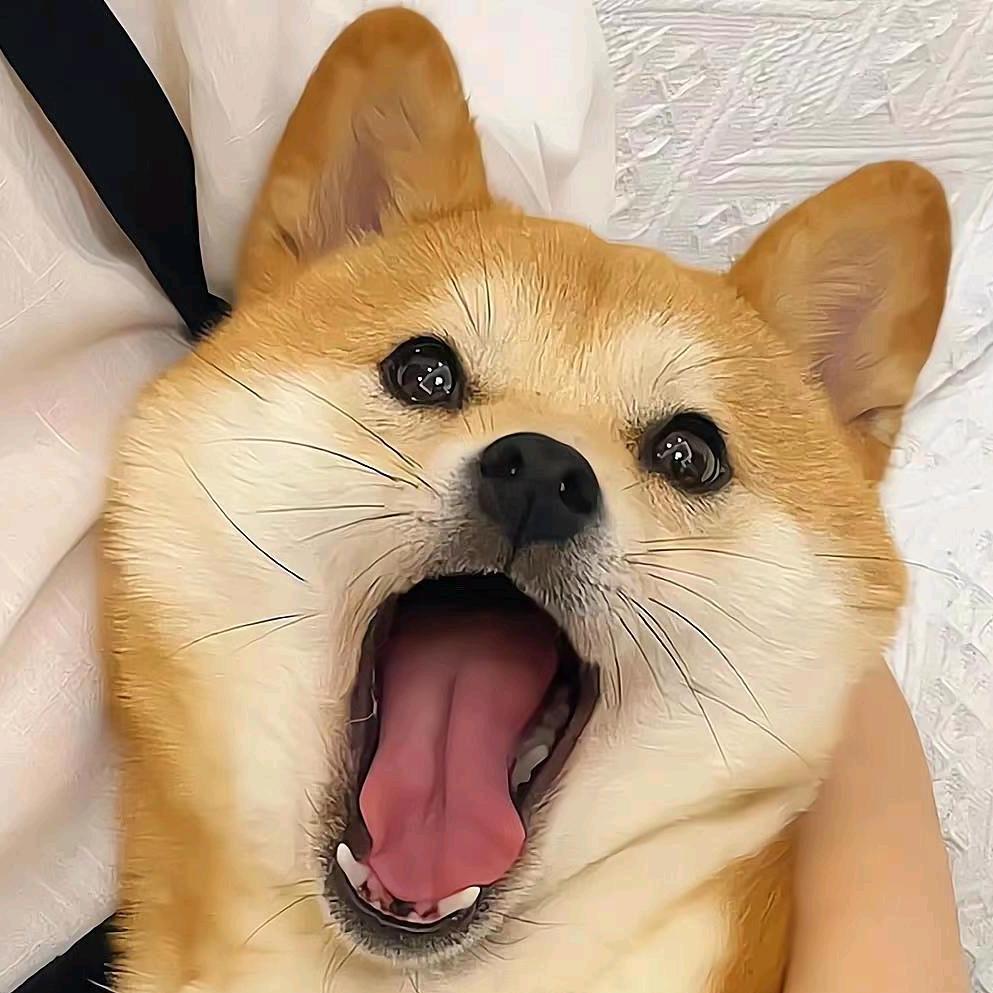 干压铸模具的小洪