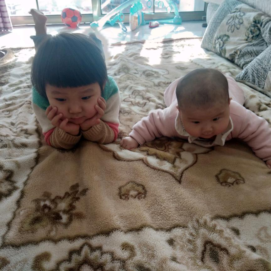背诗小高手