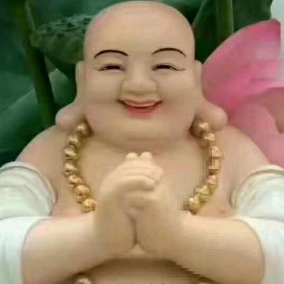 🕊️自由飞翔/🕊️