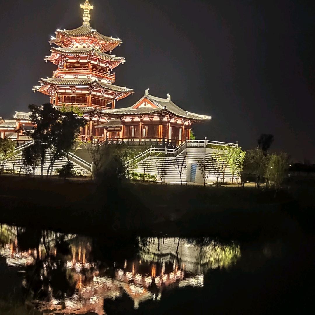 🌈谢尔顿