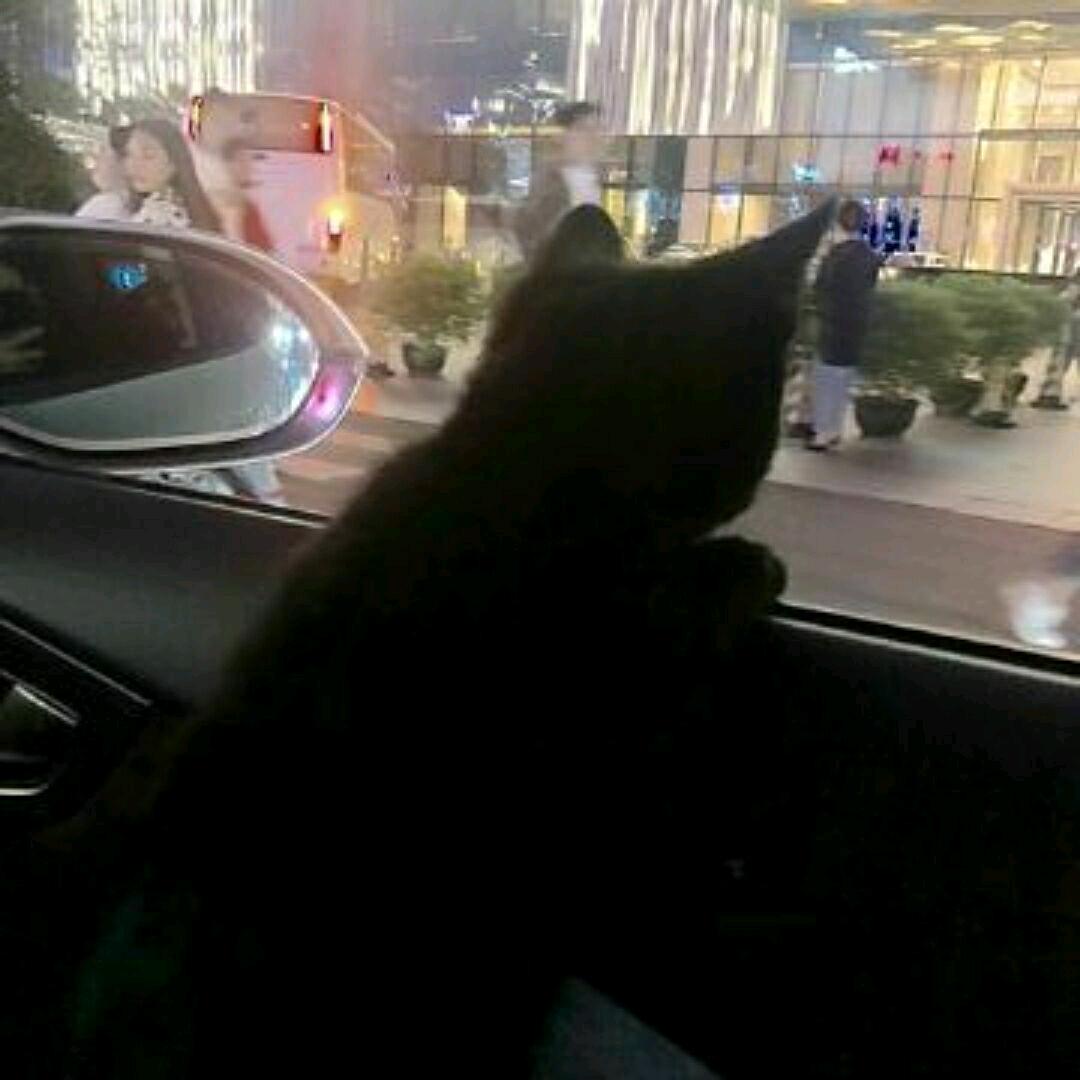 胖小！🚶🏻‍♂️