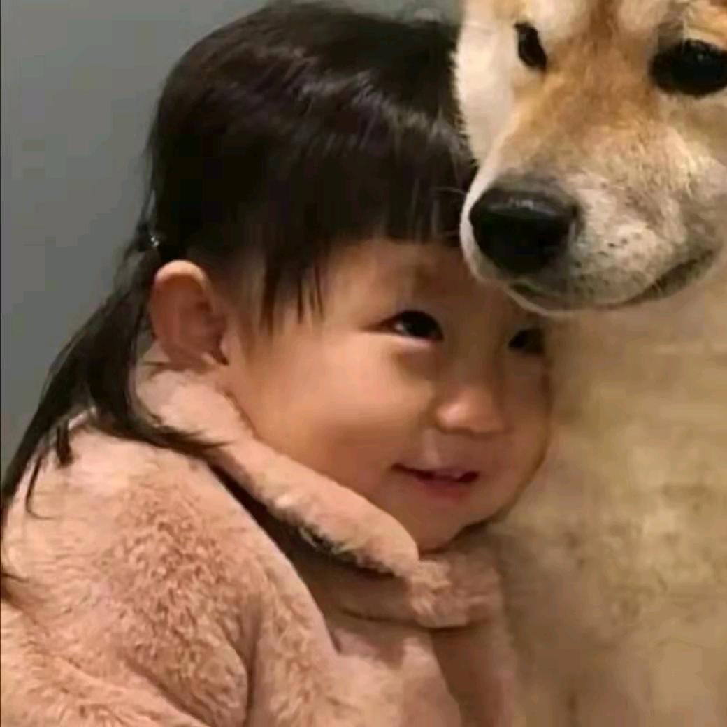 Zzz。