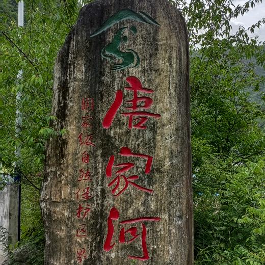二哥✔
