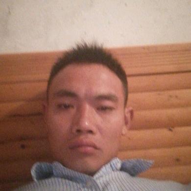 不争气的流浪狗