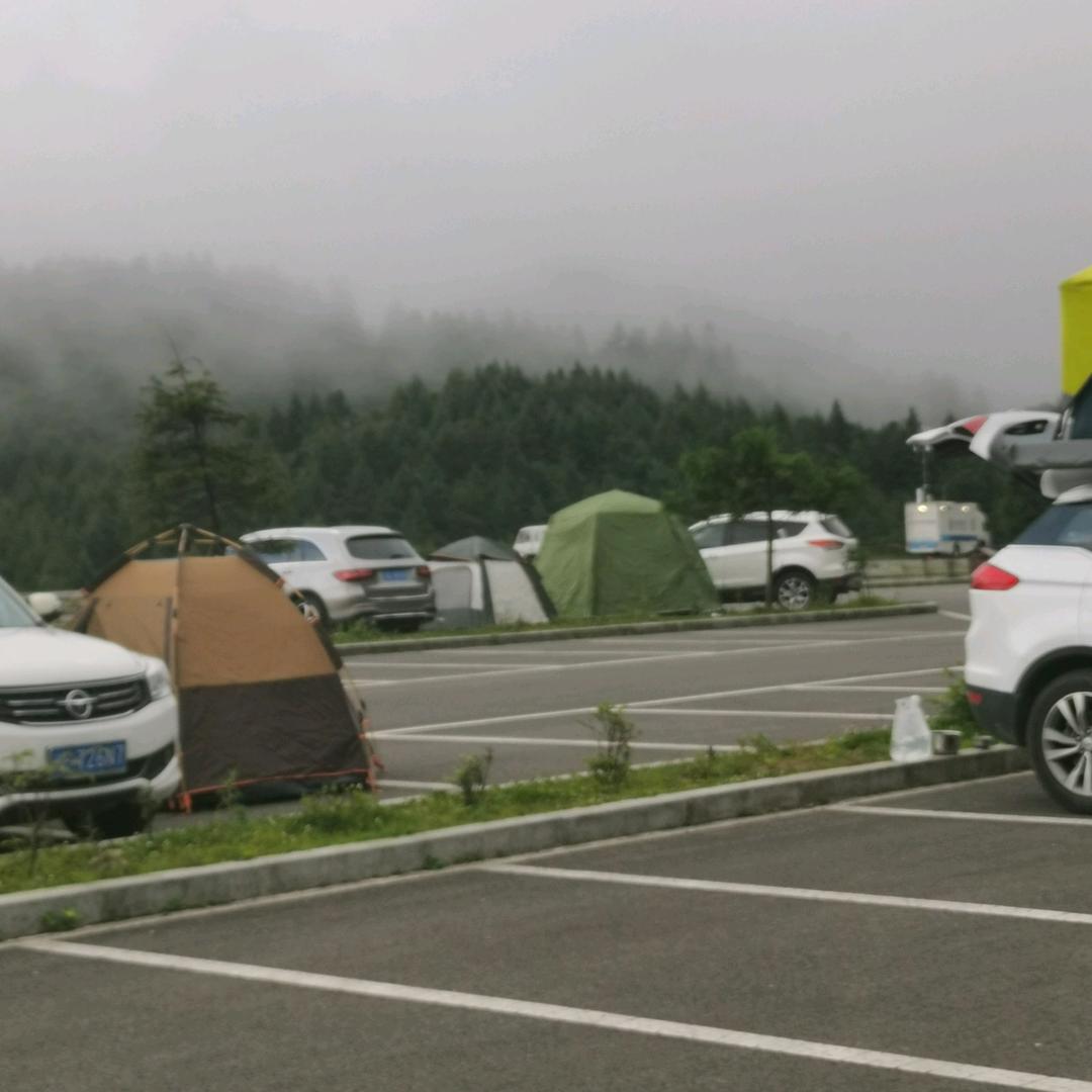 重庆大强二手车（招销售）