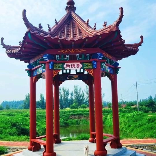 亭茂园林景观工程有限公司