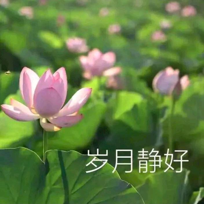 琪皓🎓《艳玲》