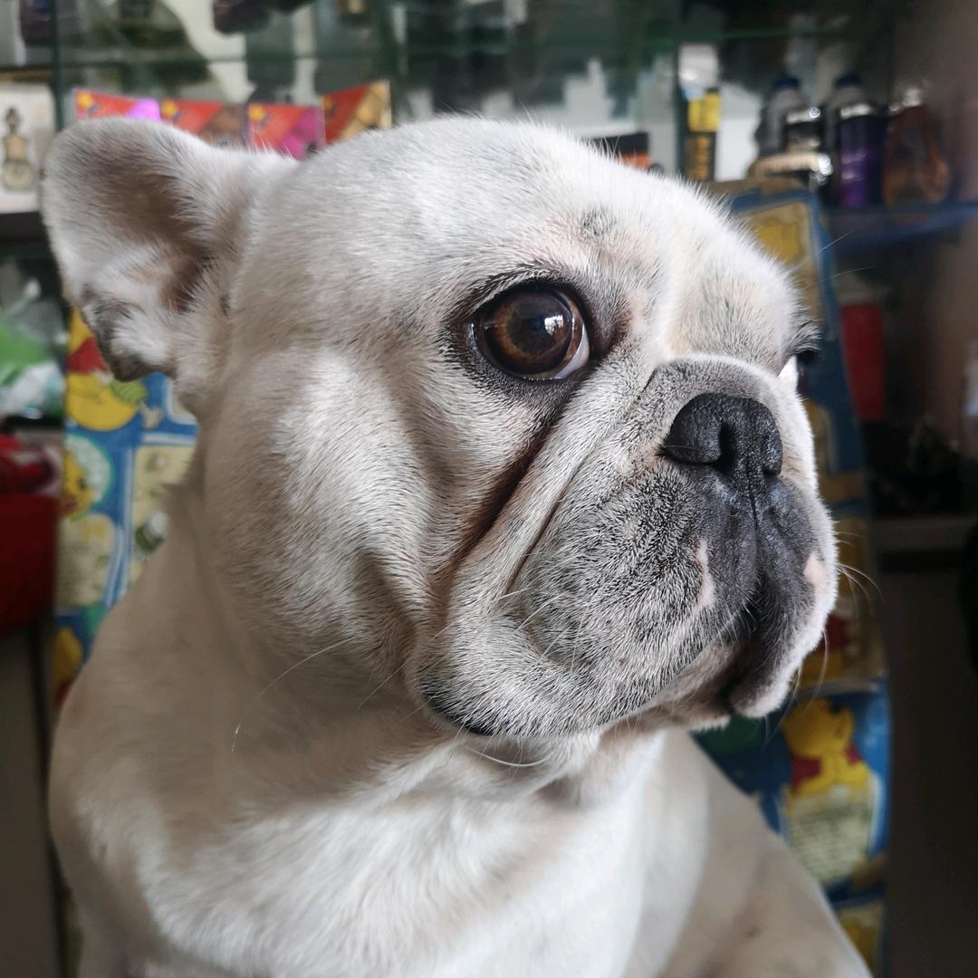 梅姐🍉声控助眠