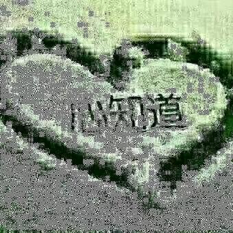 💕᭄ꦿ很ᮩ້幸运ོ࿆遇见你᭄🕊