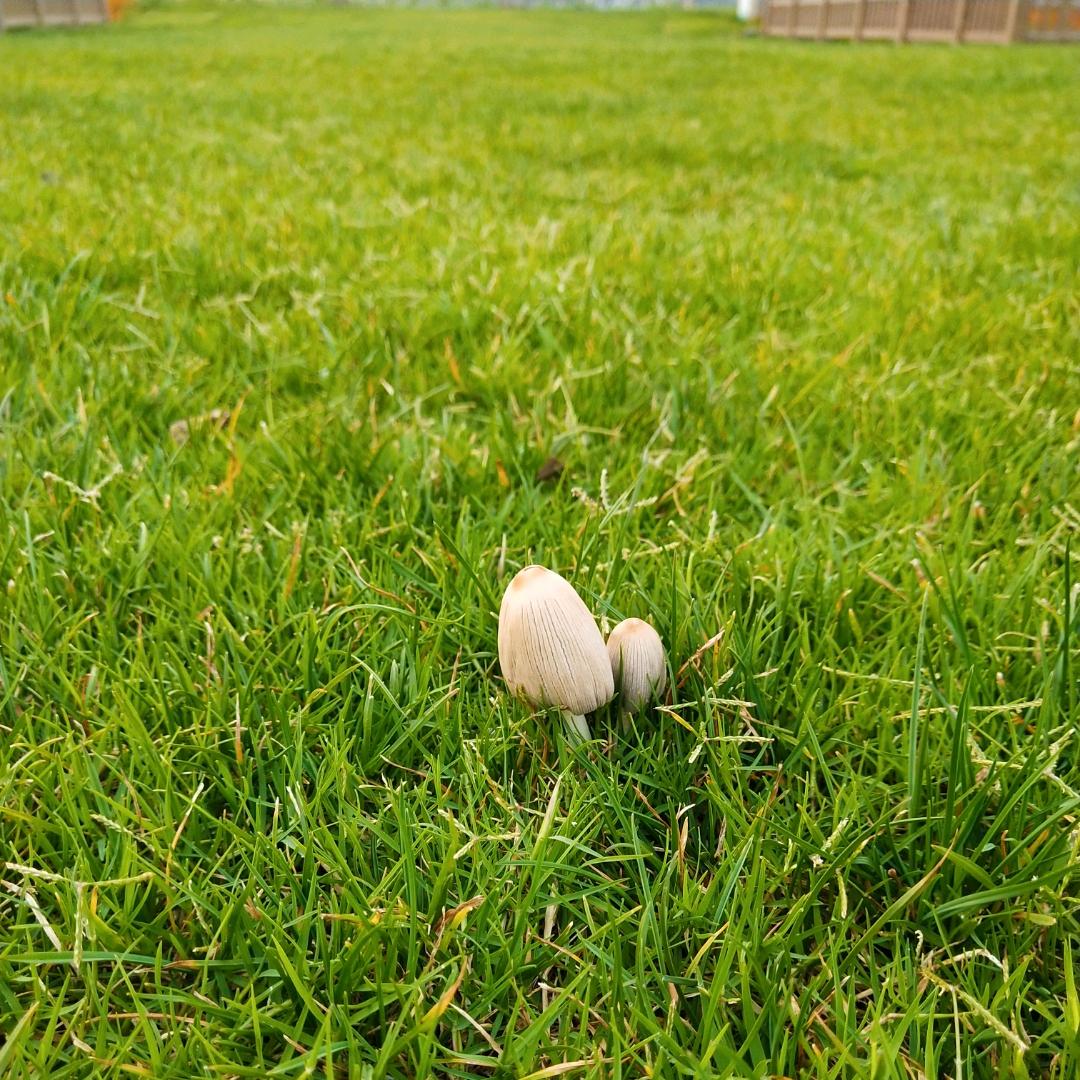 双林阿土给你32个赞🕊️
