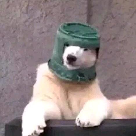 荁蓂