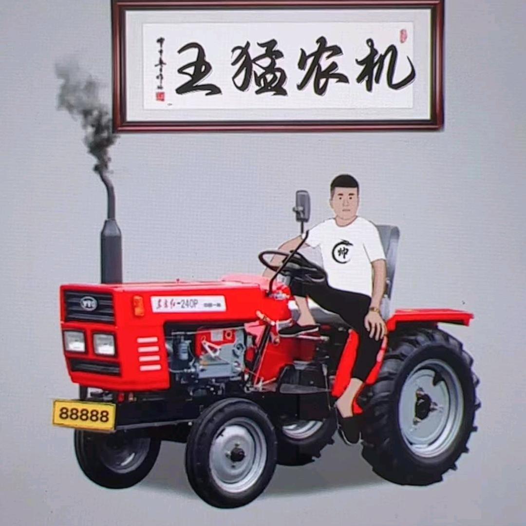 王的天下