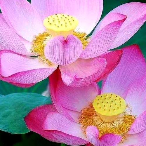 天上人间会相见