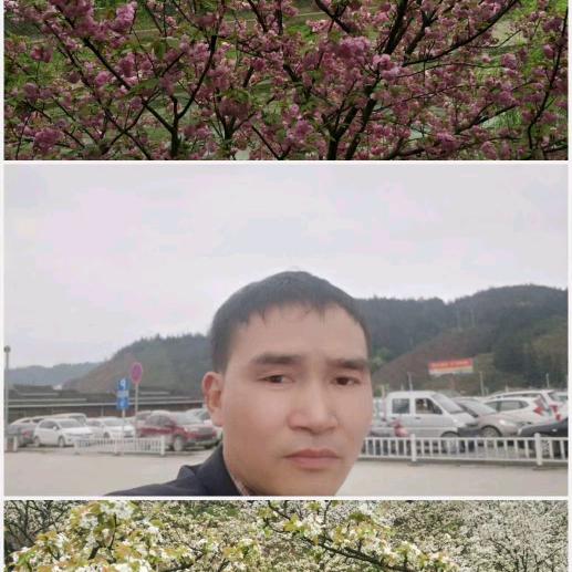 等你等到春花灿烂时