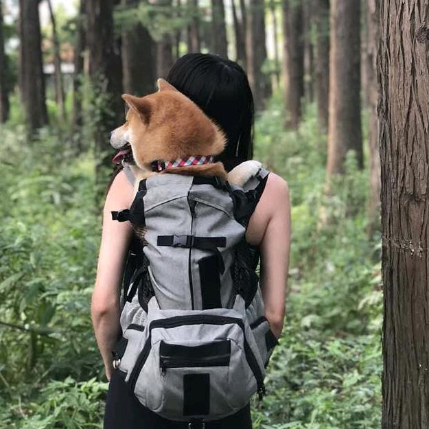 佩奇♥易煊AI插件机厂家