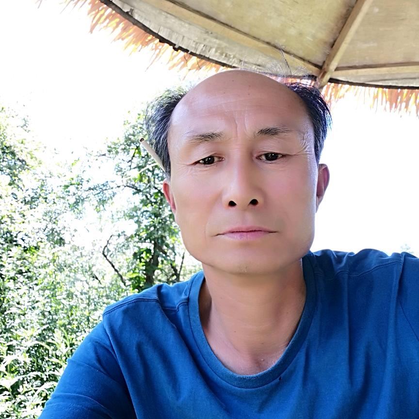 杨松书法