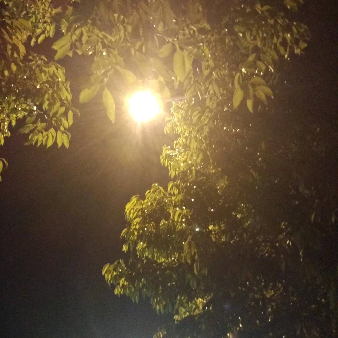 手机用户69575516013