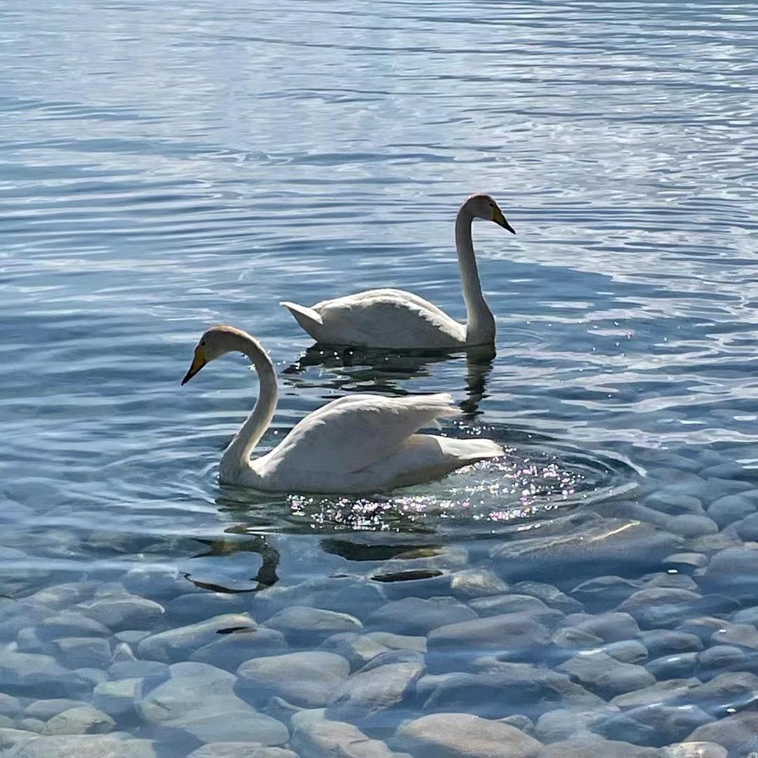 <在҉路҉上҉>