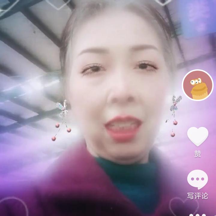 卖鸡子的老向