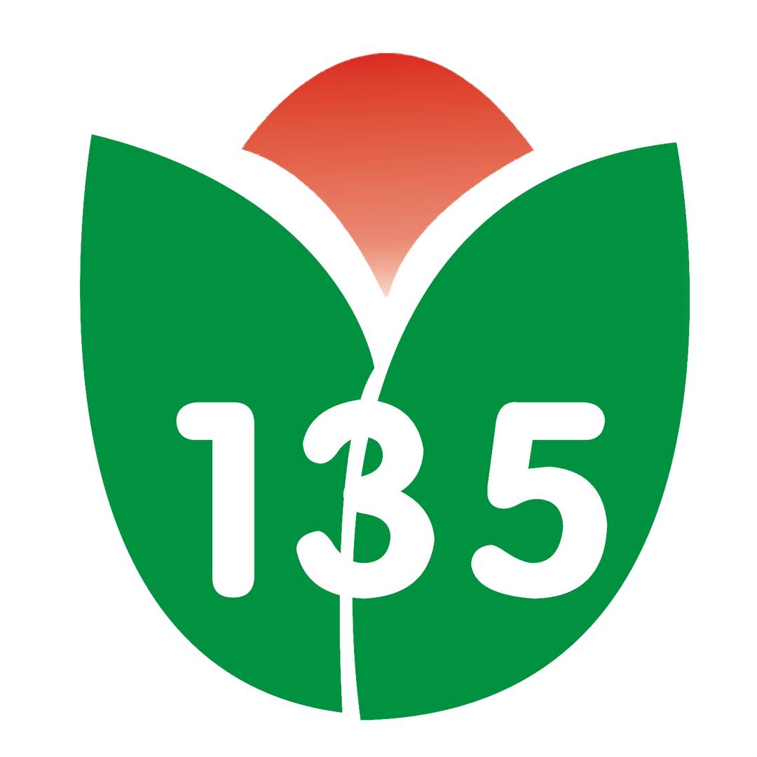 石来运转鸿运当头