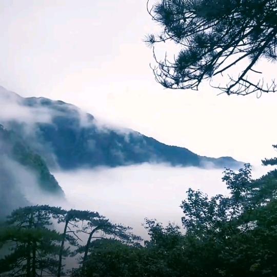 山海奇缘