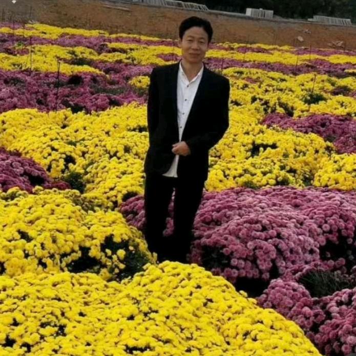 陈卫雄