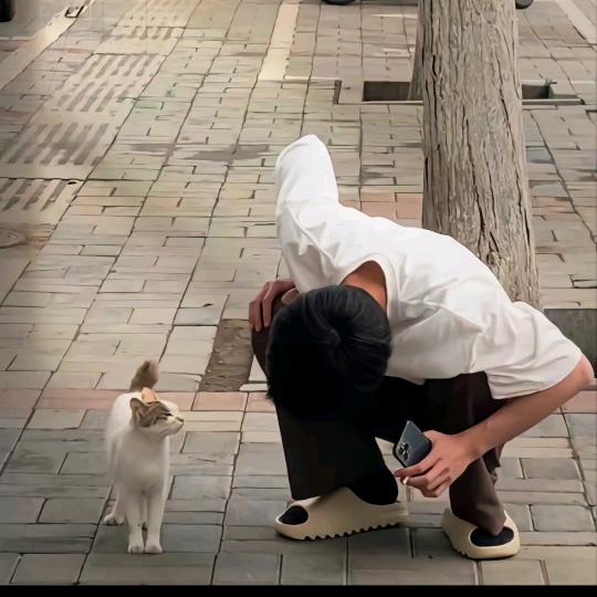 好想困高