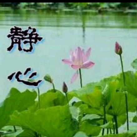 @dlc杜宜宸🙏🙏🙏