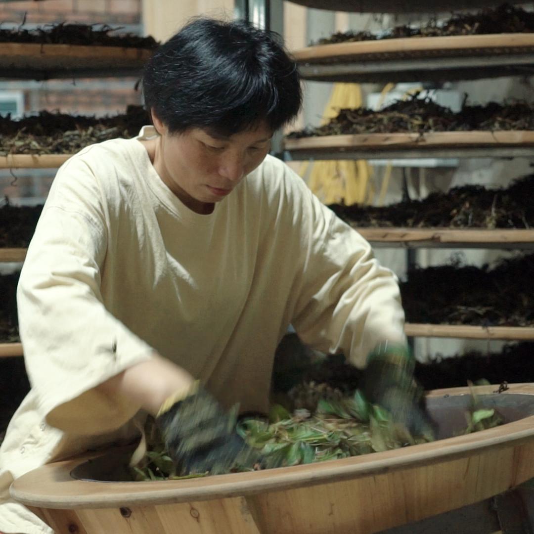 马枕峰茶业(母树肉桂发源地)