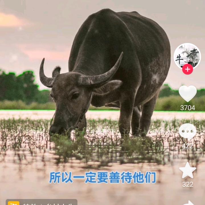 范姐
