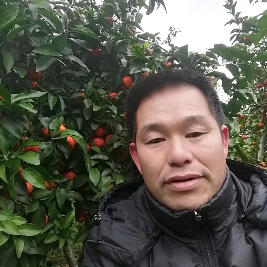 人生之旅