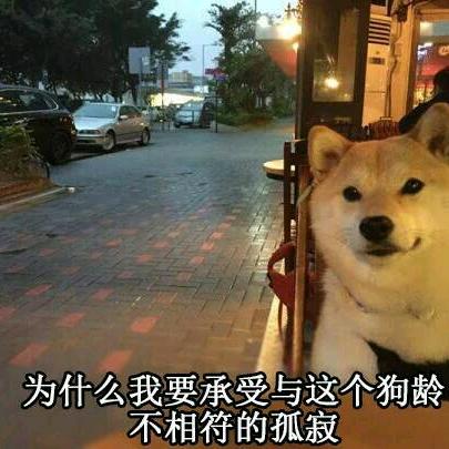 望月轻叹