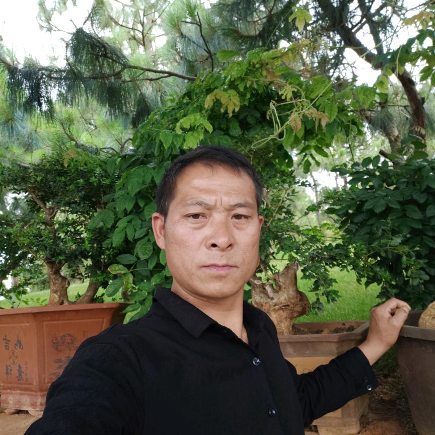 修哥