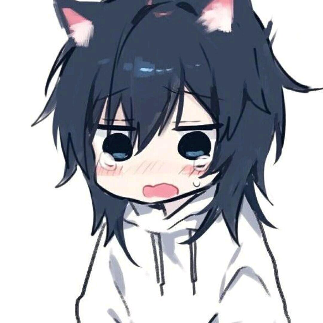 洛莫辰🍬