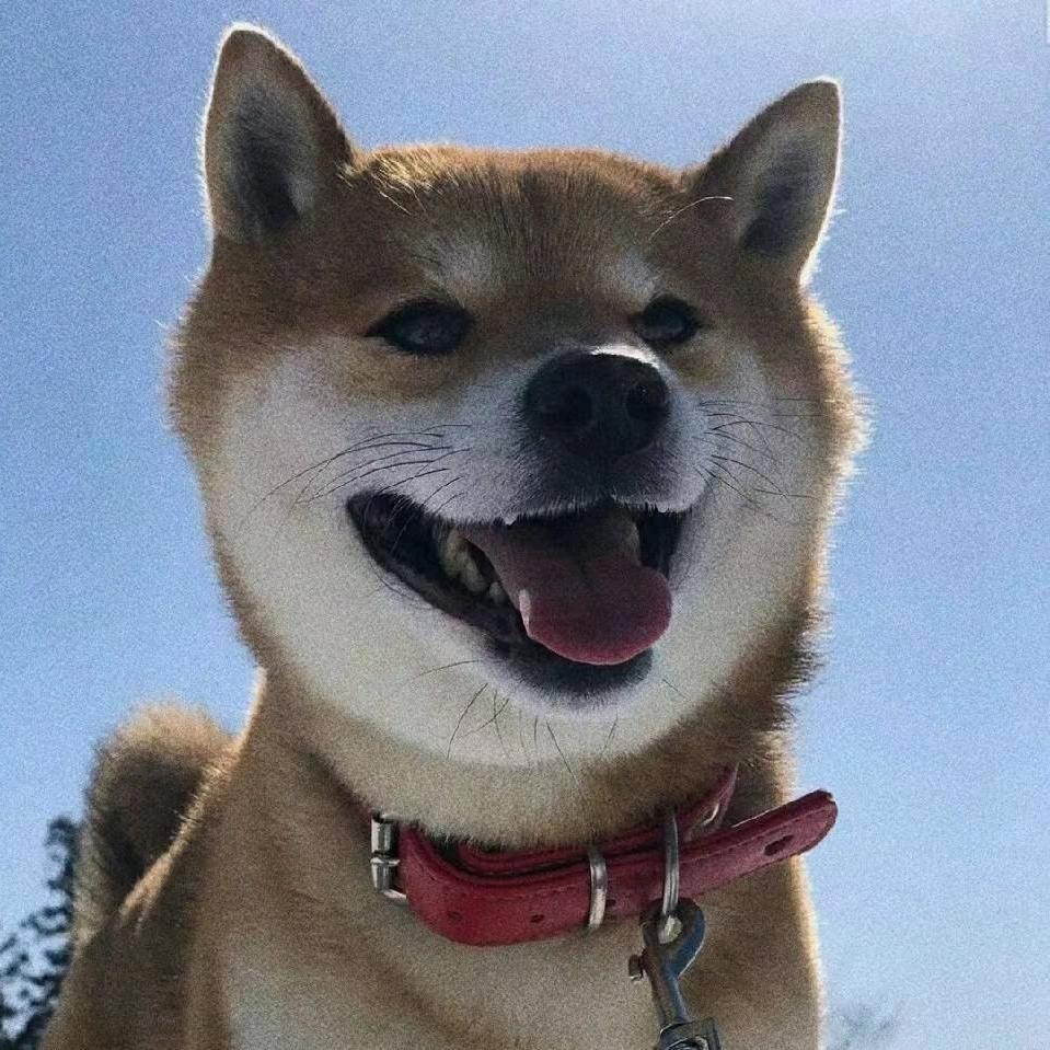 小宇