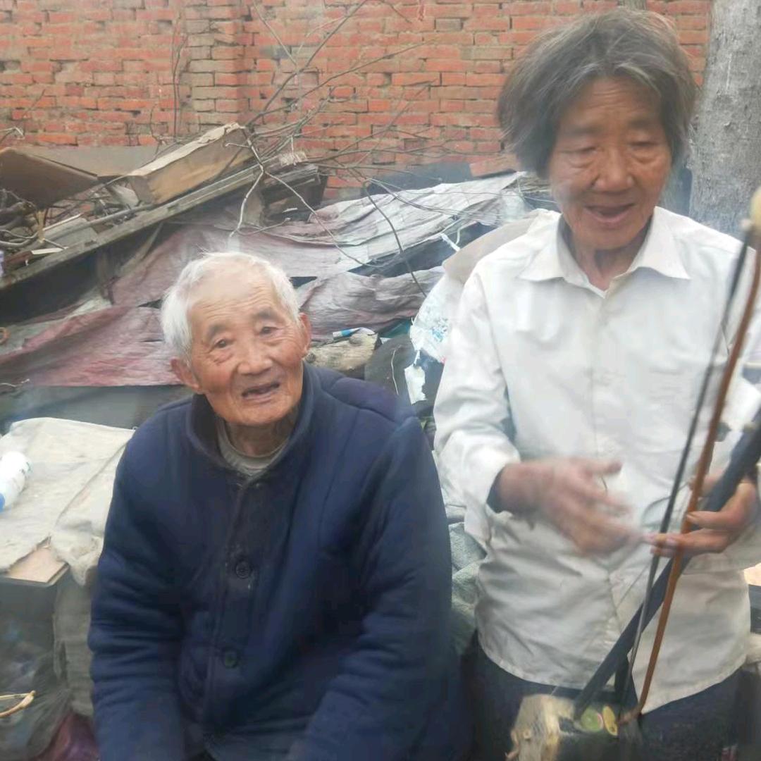 涡阳琴书传承