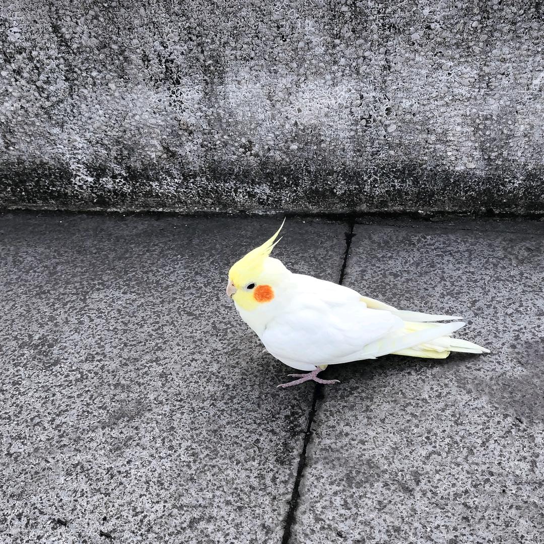 清泉一杯