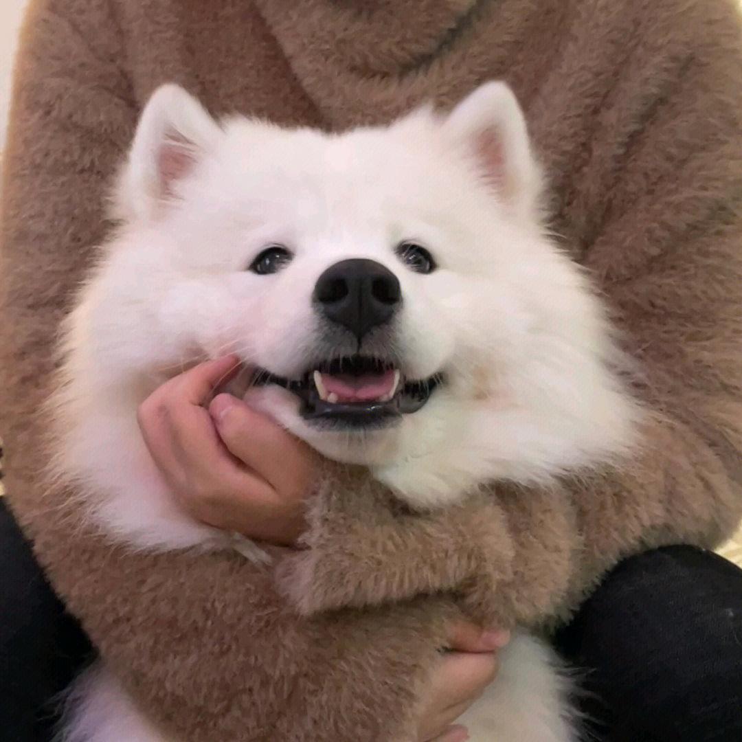 ？