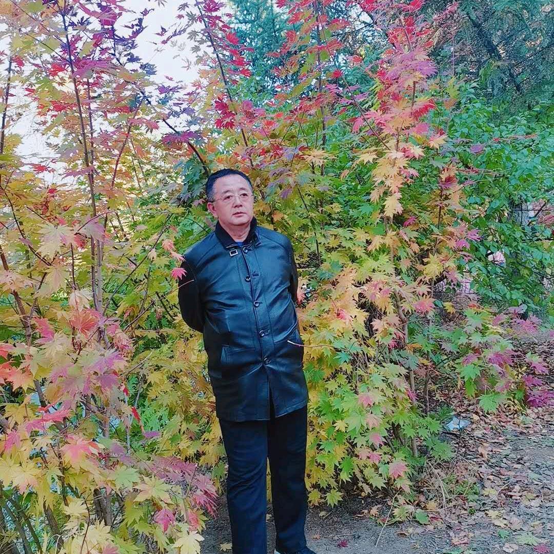 涛声依旧